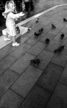 Feeding the pigeons, Venezia, by marcorossimusic